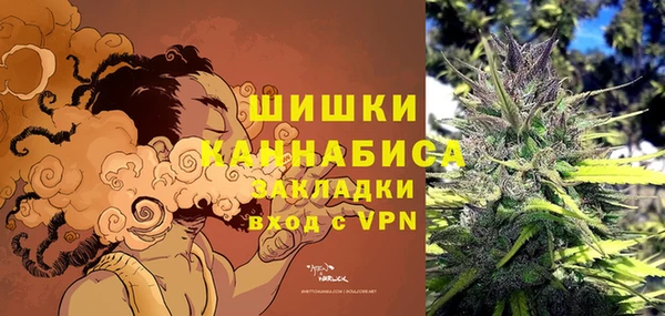 дмт Аркадак