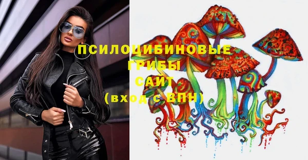 дмт Армянск
